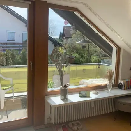 Gemütliche 3 Zimmerwohnung * Ühlingen-Birkendorf